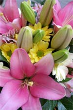 Bouquet of Lilies