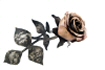 bronze rose