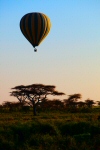hot air balloon