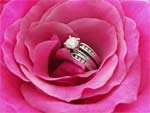 diamond ring in rose