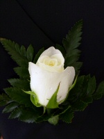 Ivory rose