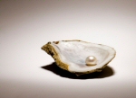 oyster shell and pearl