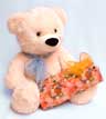 Teddy Bear with Gift for Baby Teddy Bear with Gift for Baby