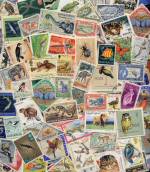stamp collection stamp collection